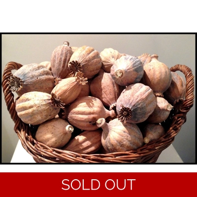 DF3 Dried Flower assortment 3lbs nett